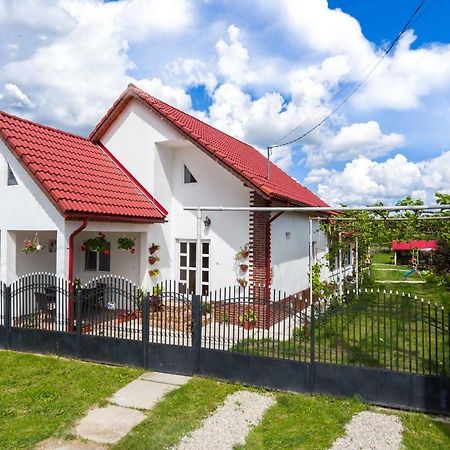 Casa De Vacanta Marya Baia de Fier Zewnętrze zdjęcie