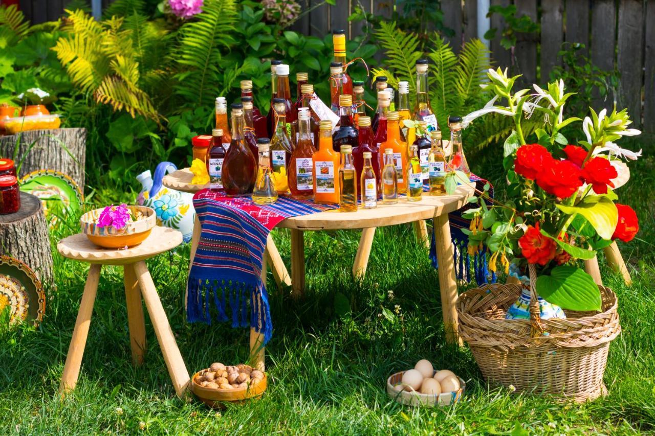 Casa De Vacanta Marya Baia de Fier Zewnętrze zdjęcie