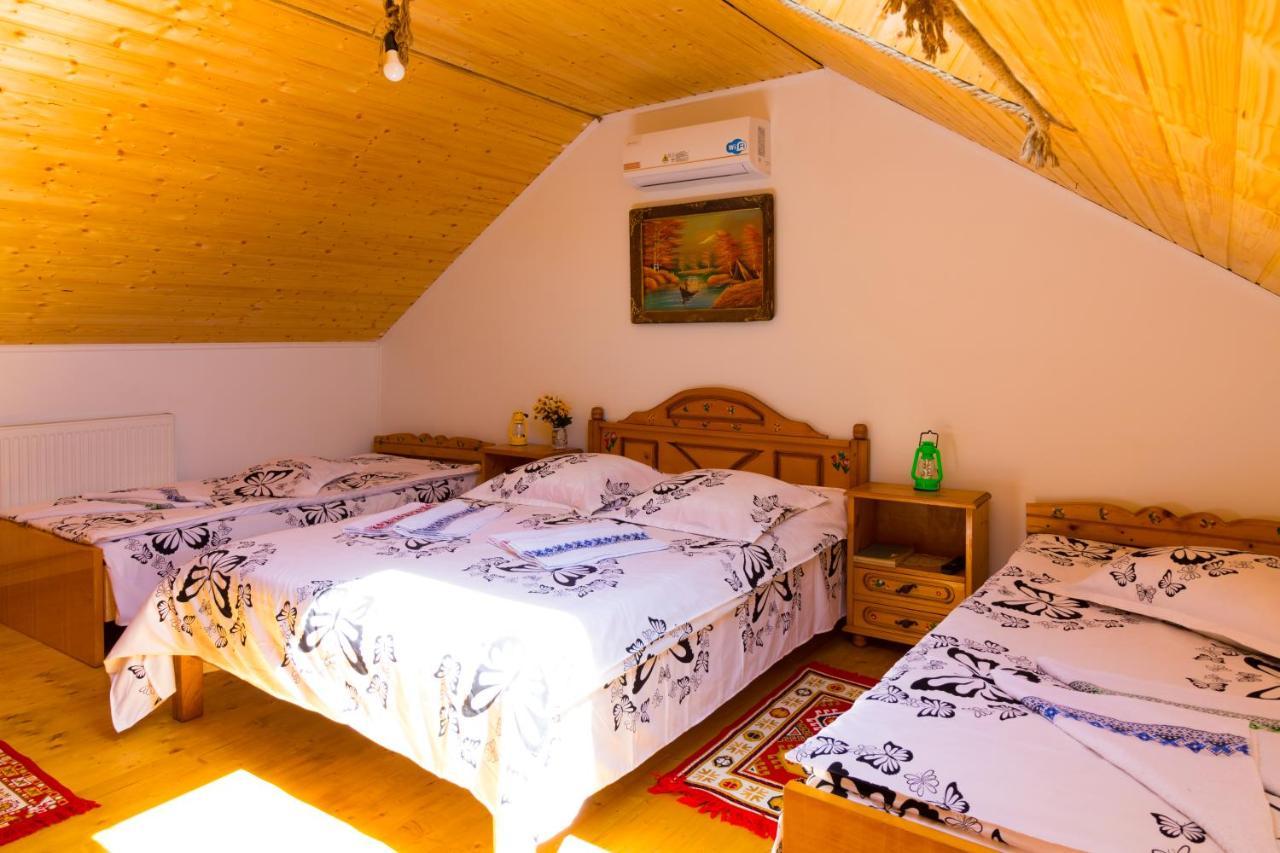 Casa De Vacanta Marya Baia de Fier Zewnętrze zdjęcie
