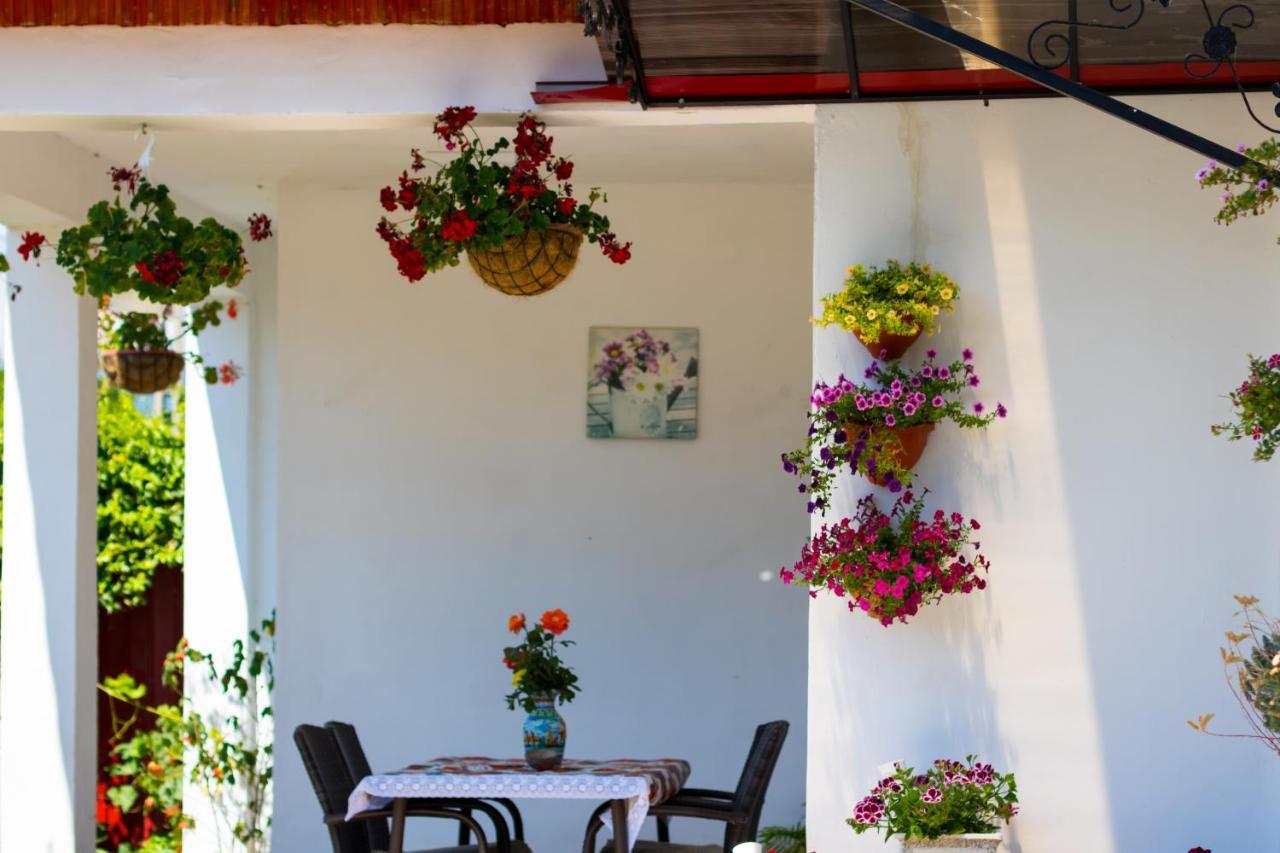 Casa De Vacanta Marya Baia de Fier Zewnętrze zdjęcie
