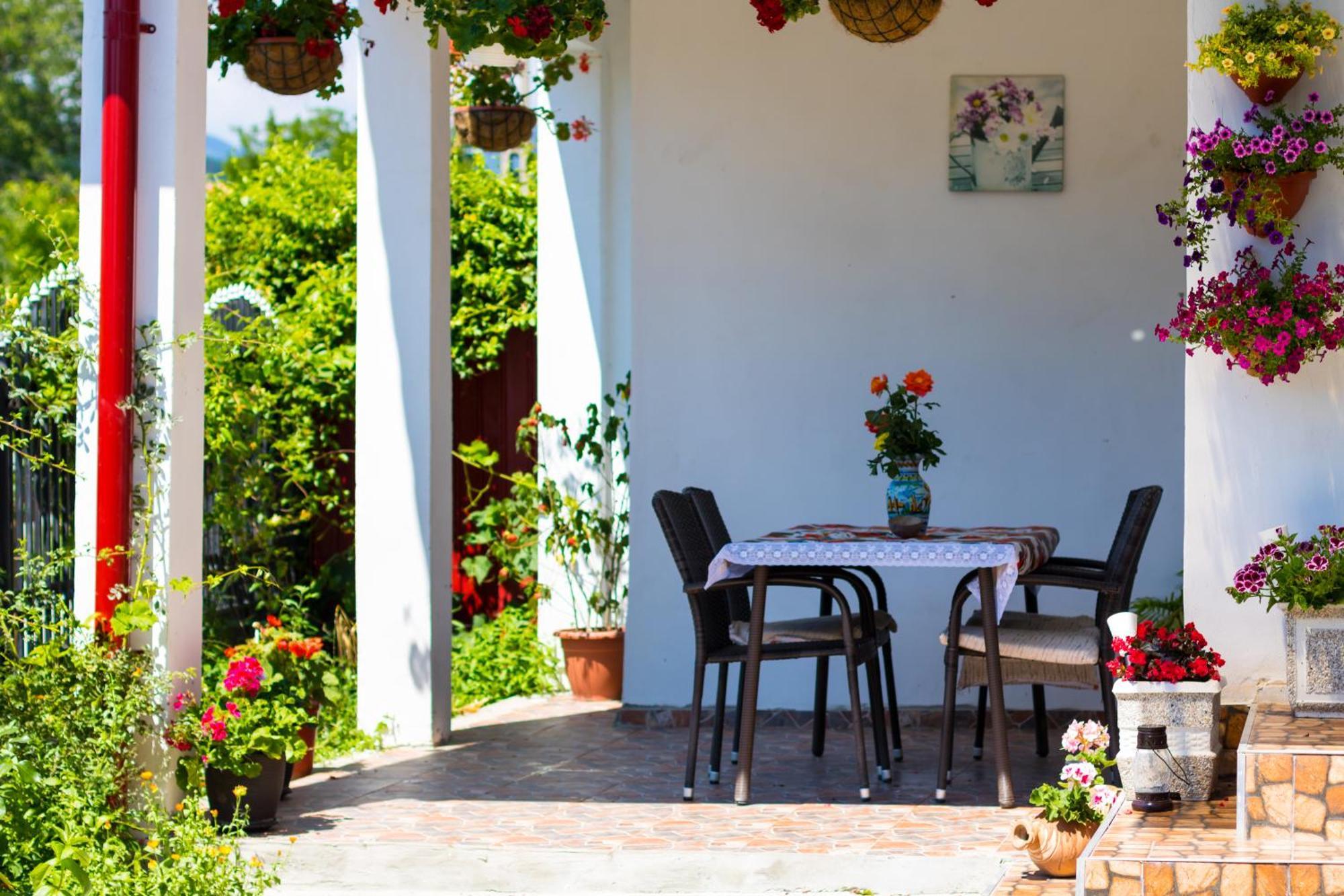 Casa De Vacanta Marya Baia de Fier Zewnętrze zdjęcie