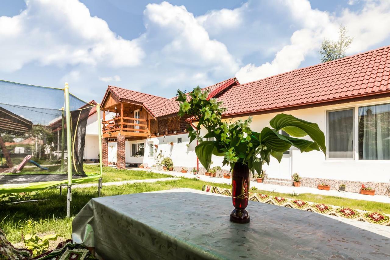 Casa De Vacanta Marya Baia de Fier Zewnętrze zdjęcie