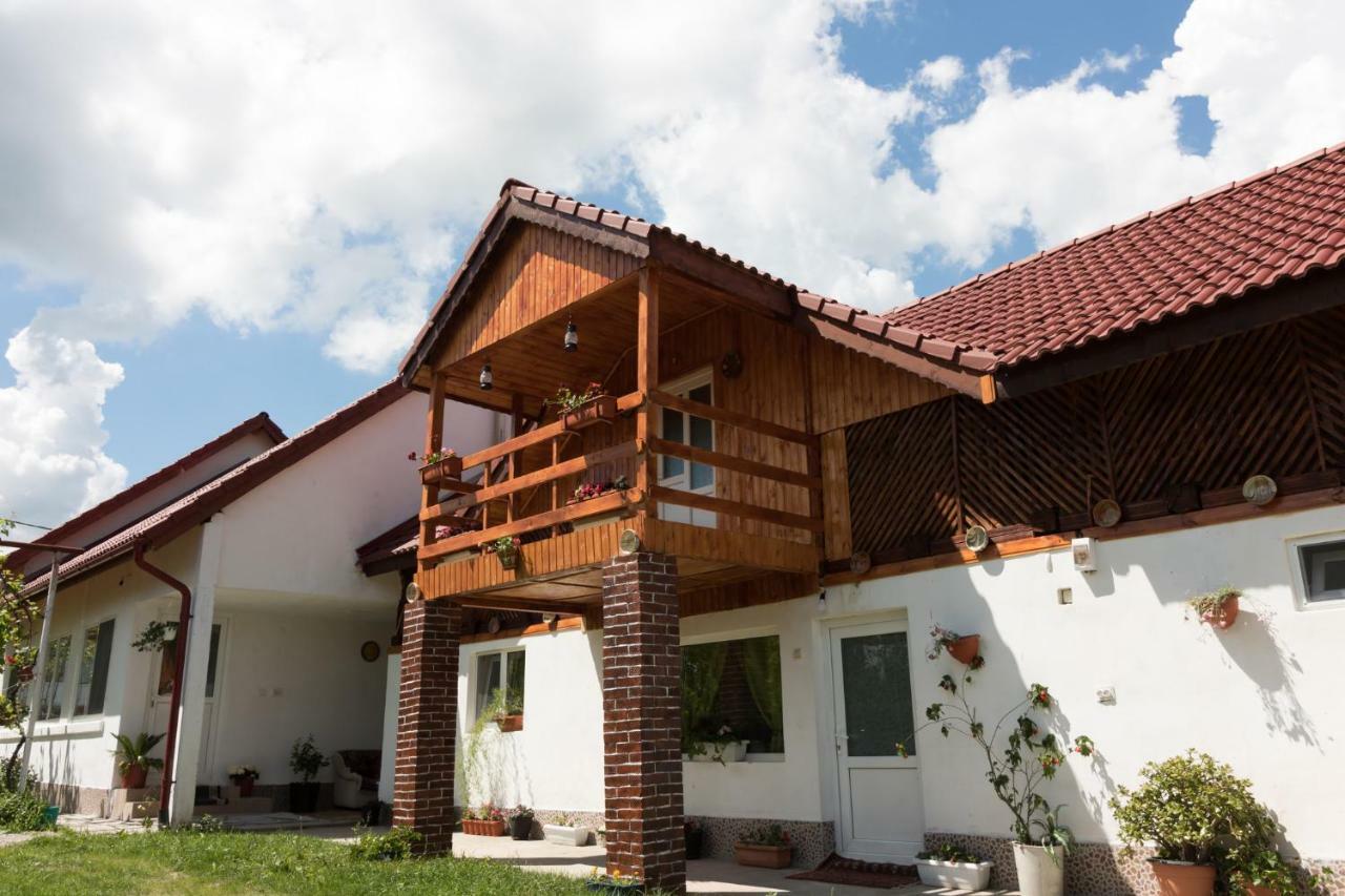 Casa De Vacanta Marya Baia de Fier Zewnętrze zdjęcie